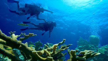 Scuba Diving Couple | CTS-Travel Services