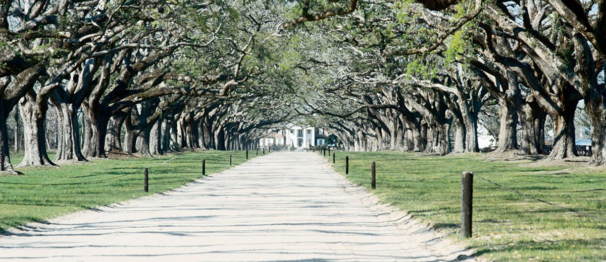 Domestic: Charleston, South Carolina