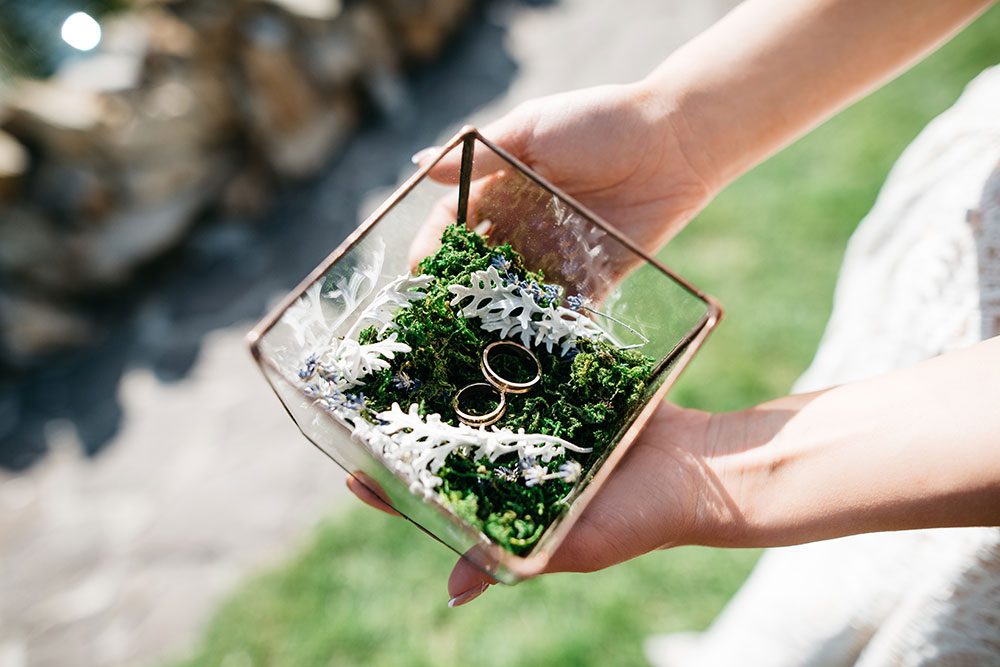 Wedding Ring Presentation