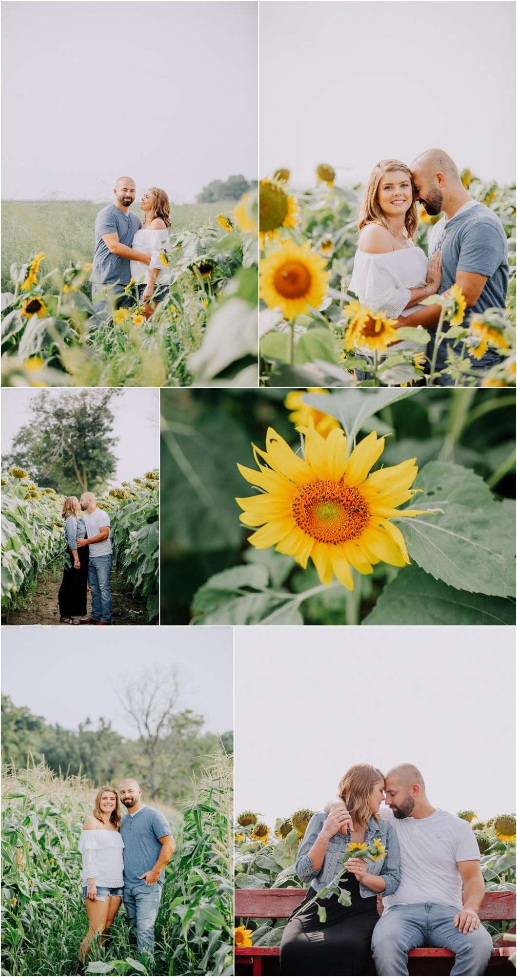 Collage of engagement portraits at sunflower farm