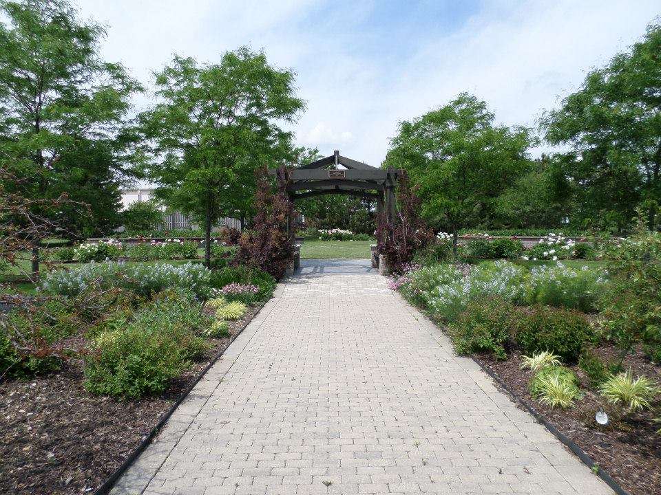 Wedding Venue Spotlight- Congdon Gardens