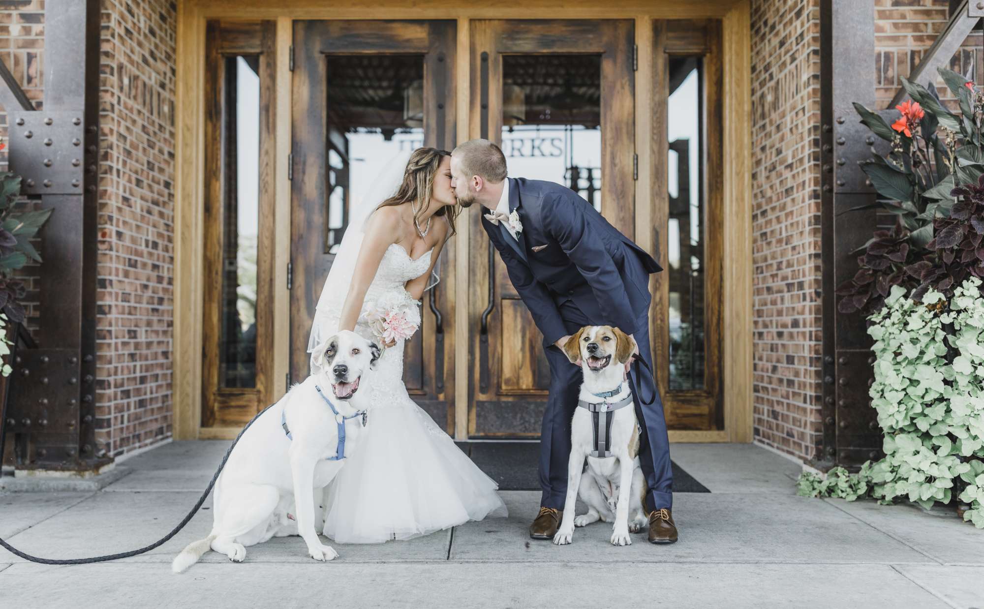 Bride and groom pose with their dogs-Ironworks Hotel Beloit