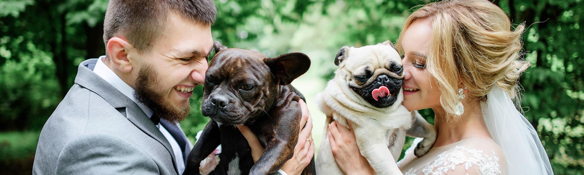 5 Ways to Involve Your Pet in Your Wedding