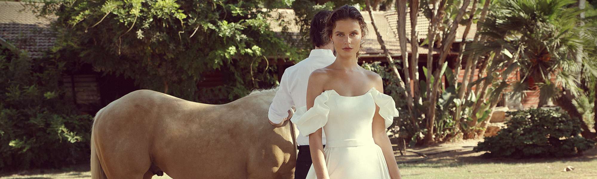 The Beauty of Nature Spun into Fairy Tales