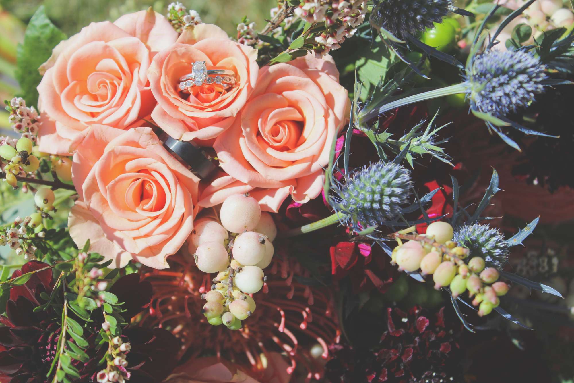 Milwaukee County Zoo Wedding