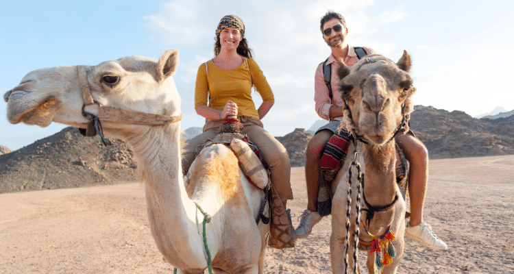 Couple riding camels on their honeymoon in Africa.