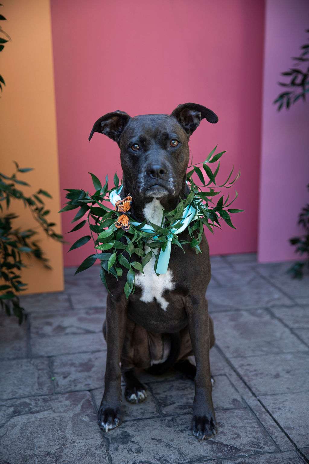 The Fitzgerald Milwaukee – Garden Romance Styled Shoot