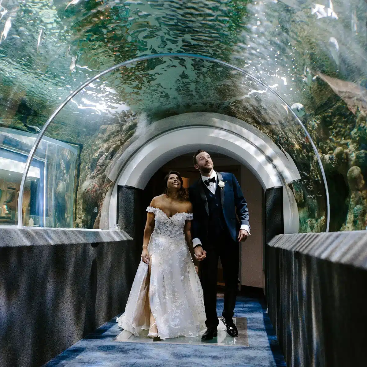 Bride and groom standing under overhead aquarium at Discovery World Milwaukee.