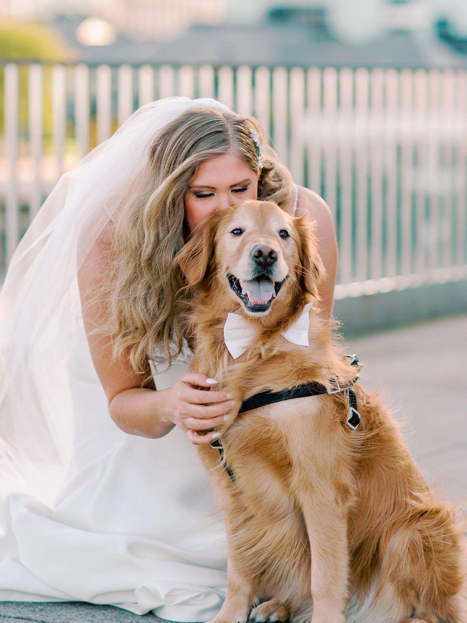 mikayla-and-cody-stella-van-buren-natashia-nicole-photography-22 dog wearing white bow tie as bride bends down to kiss his head