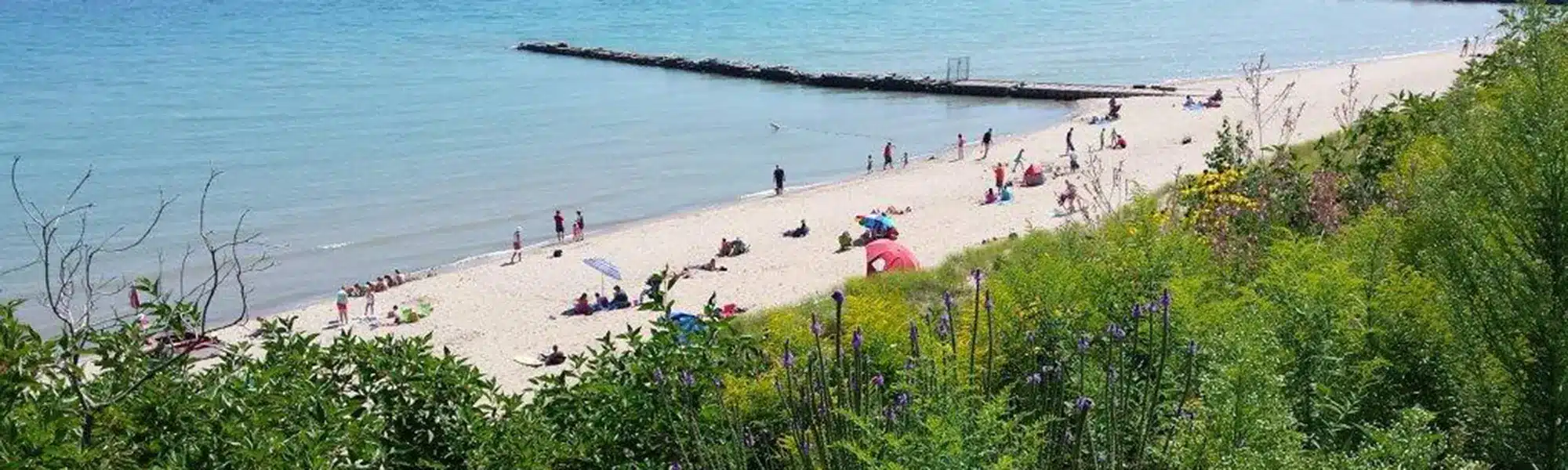 Village of Shorewood
