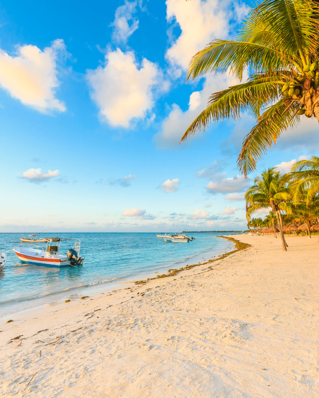 Beach in Riviera Maya for Honeymoon Beach in Riviera Maya for Honeymoon