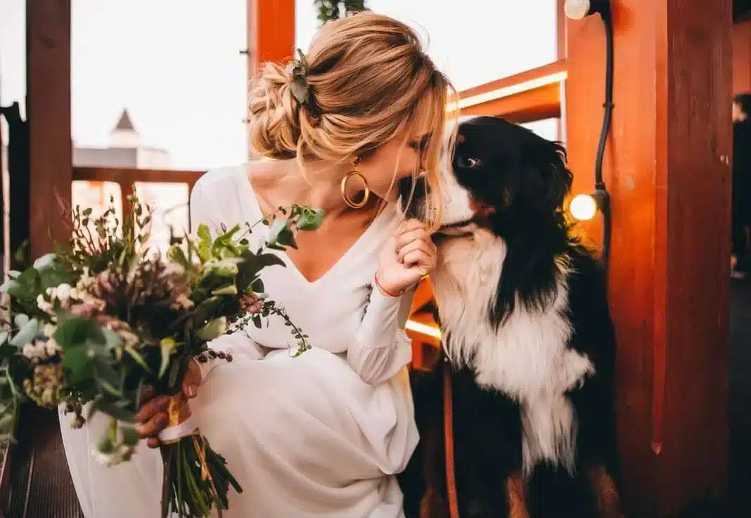 Your dog belongs at your wedding. Here’s how to make it work.