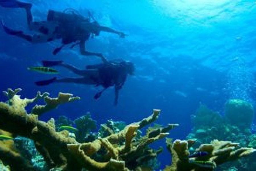 Scuba Diving Couple | CTS-Travel Services