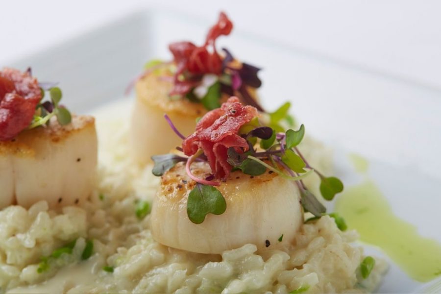 Scallops on a plate that make your mouth water