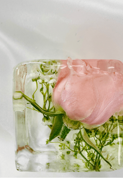 LushICE Cube with pink rose inside