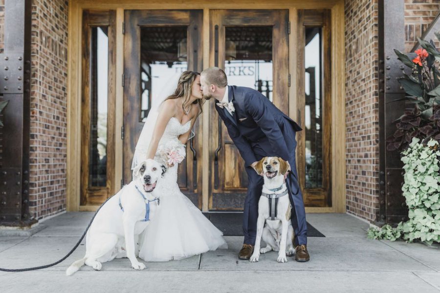 Bride and groom pose with their dogs-Ironworks Hotel Beloit
