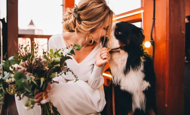 Bride shares her big day with her four legged friend